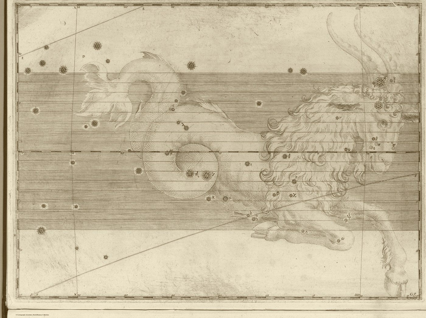 Capricorn, the Sea-Goat — Antique Gold — Celestial oil