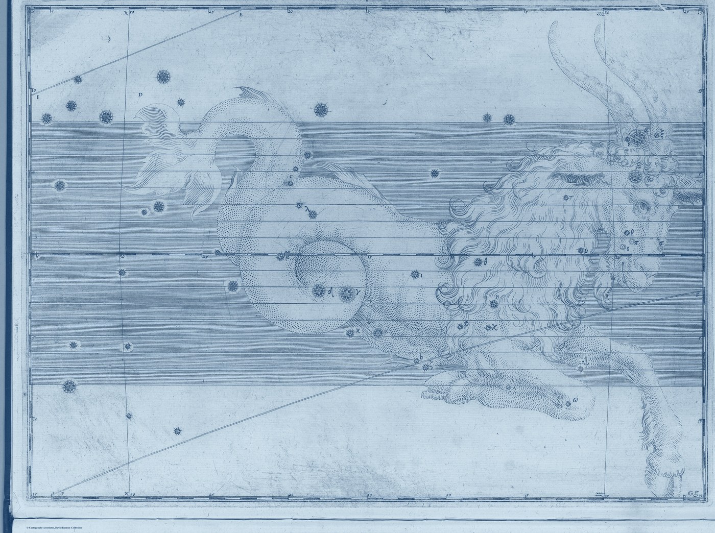 Capricorn, the Sea-Goat — Prussian — Celestial oil