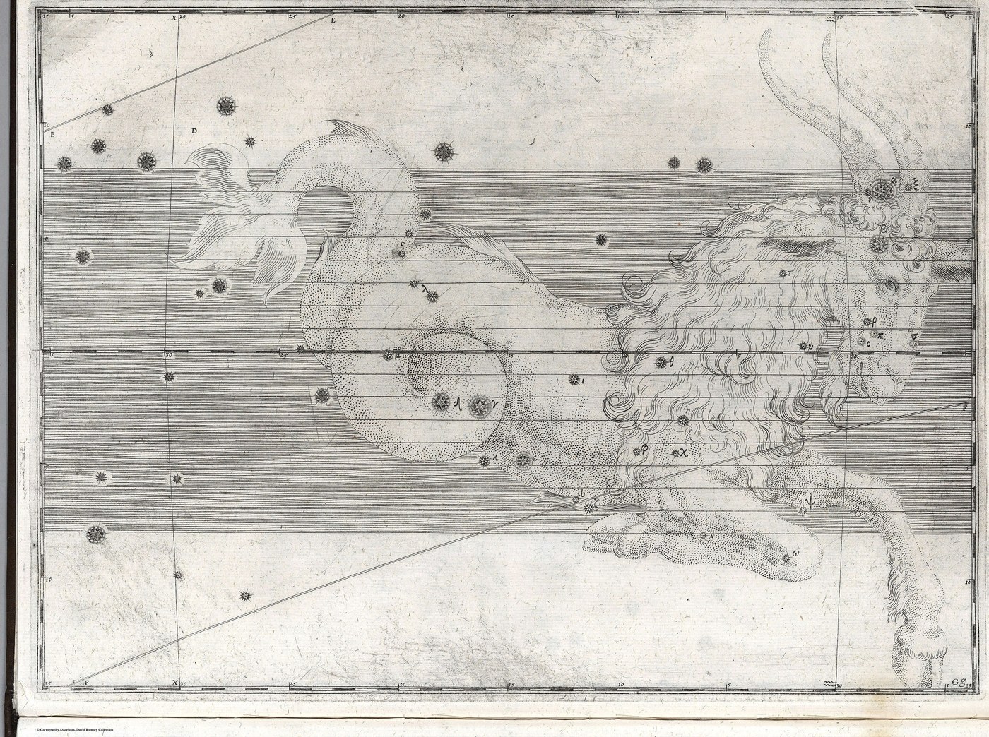 Capricorn, the Sea-Goat — Restored — Celestial oil