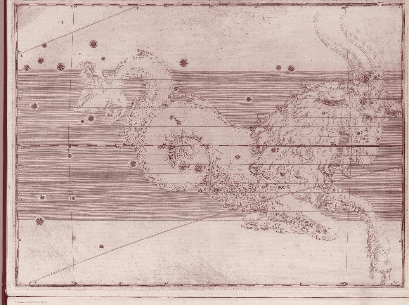 Capricorn, the Sea-Goat — Venetian Red — Celestial oil