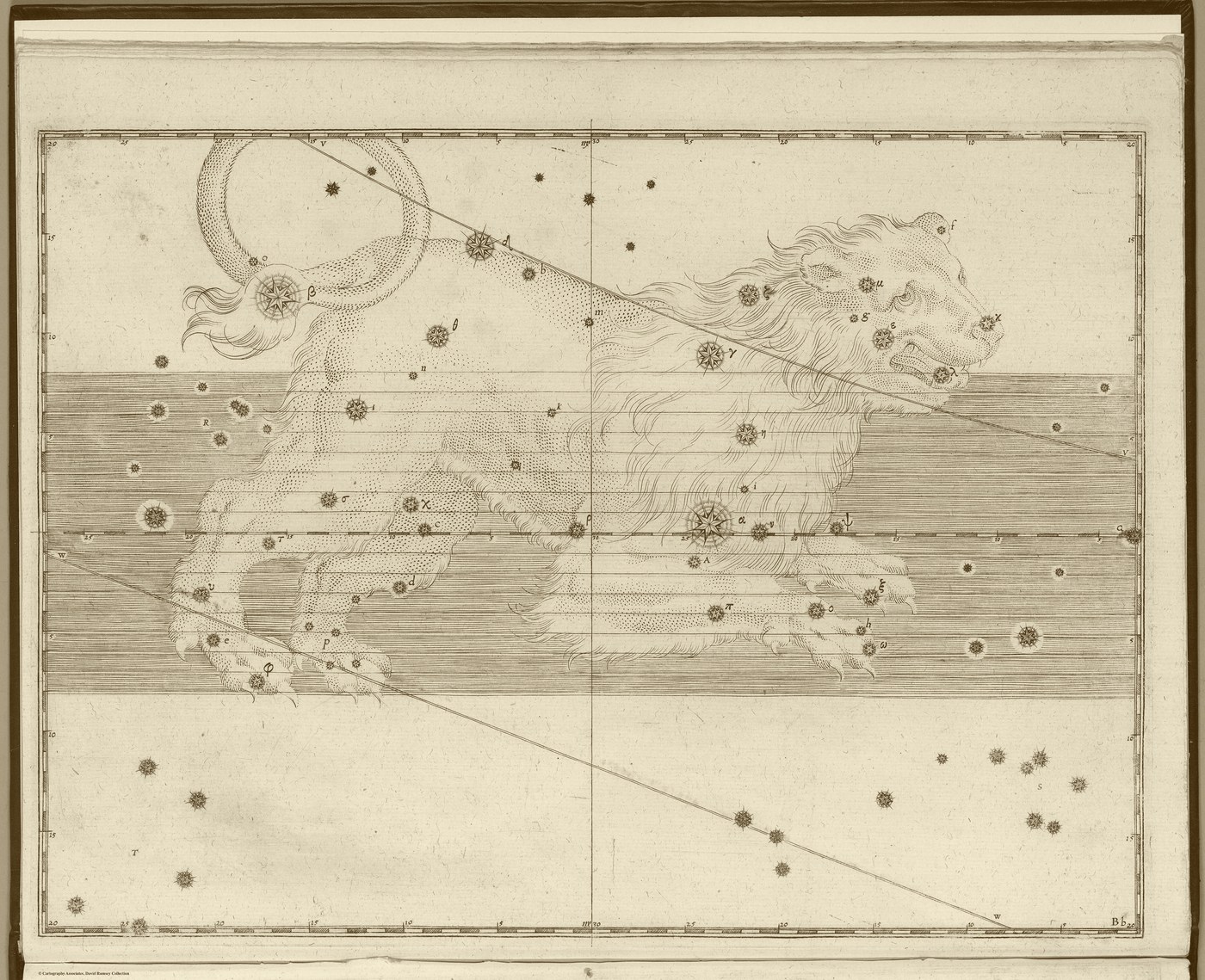 Leo, the Lion — Antique Gold — Celestial oil