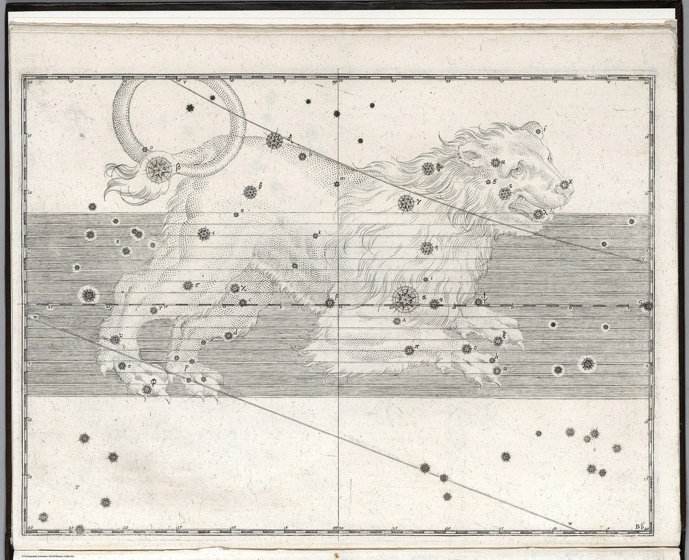 Leo, the Lion — Restored — Celestial oil