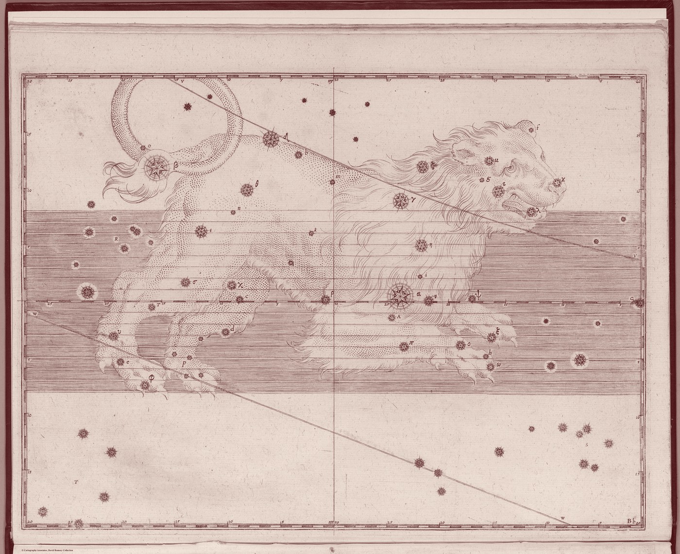 Leo, the Lion — Venetian Red — Celestial oil