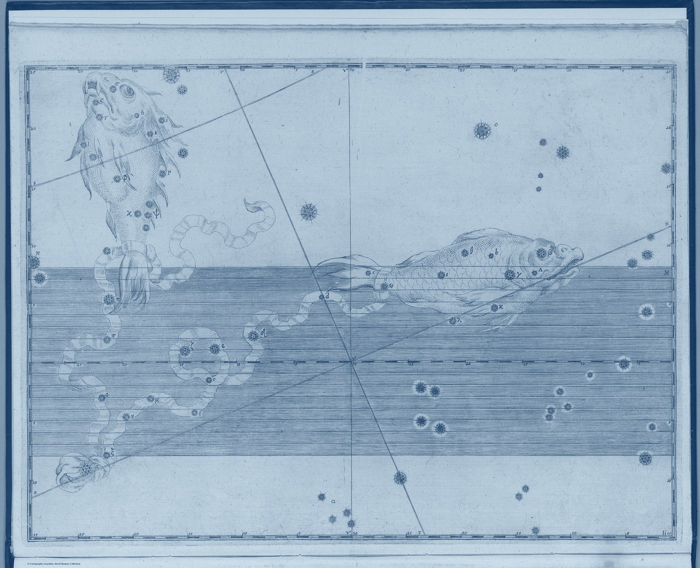 Pisces, the Fishes — Prussian — Celestial oil