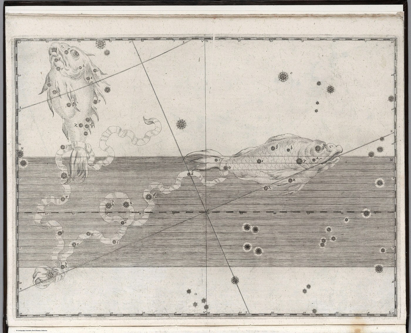 Pisces, the Fishes — Restored — Celestial oil