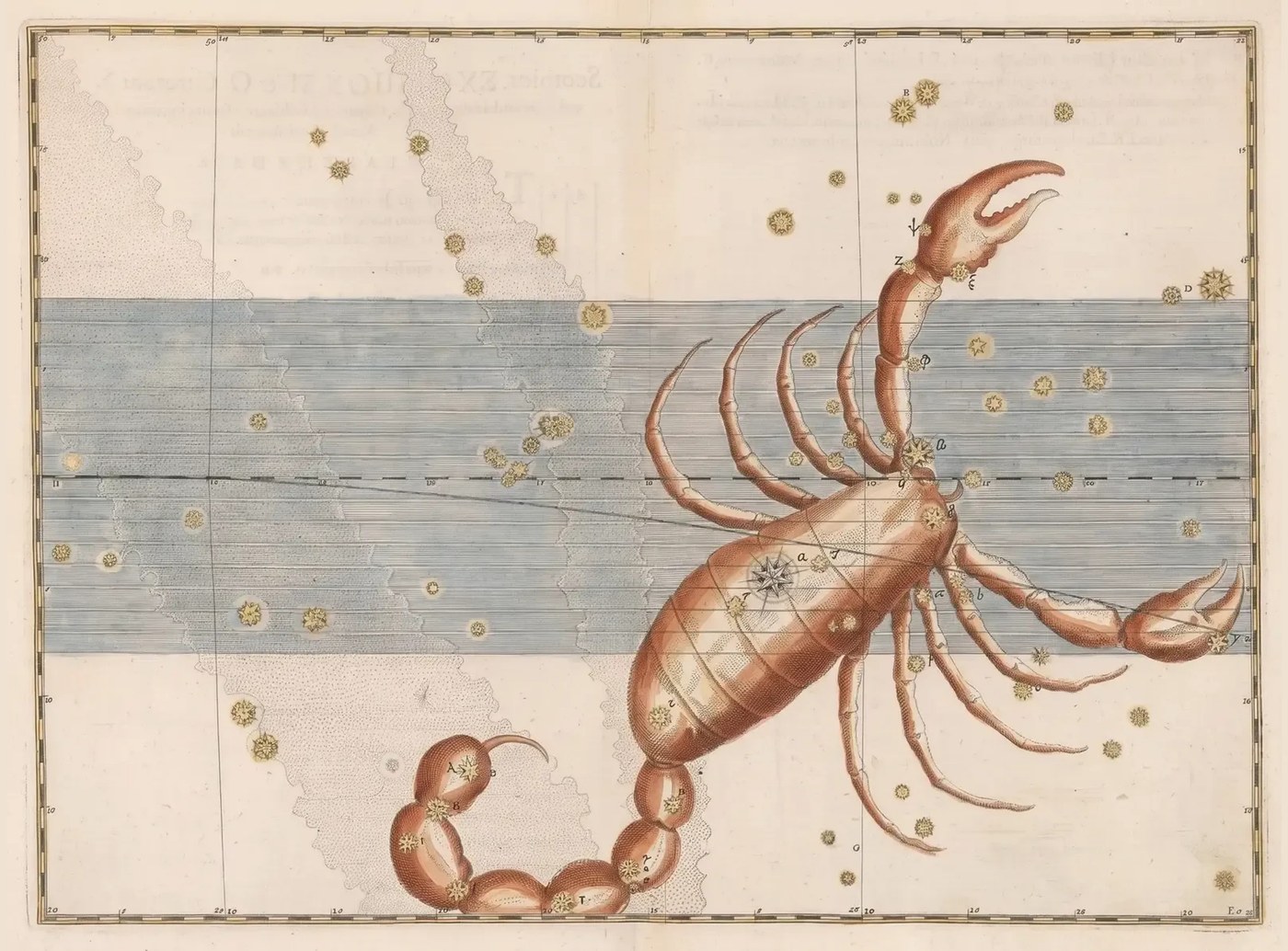 Scorpio, the Scorpion — Illuminated — Celestial oil