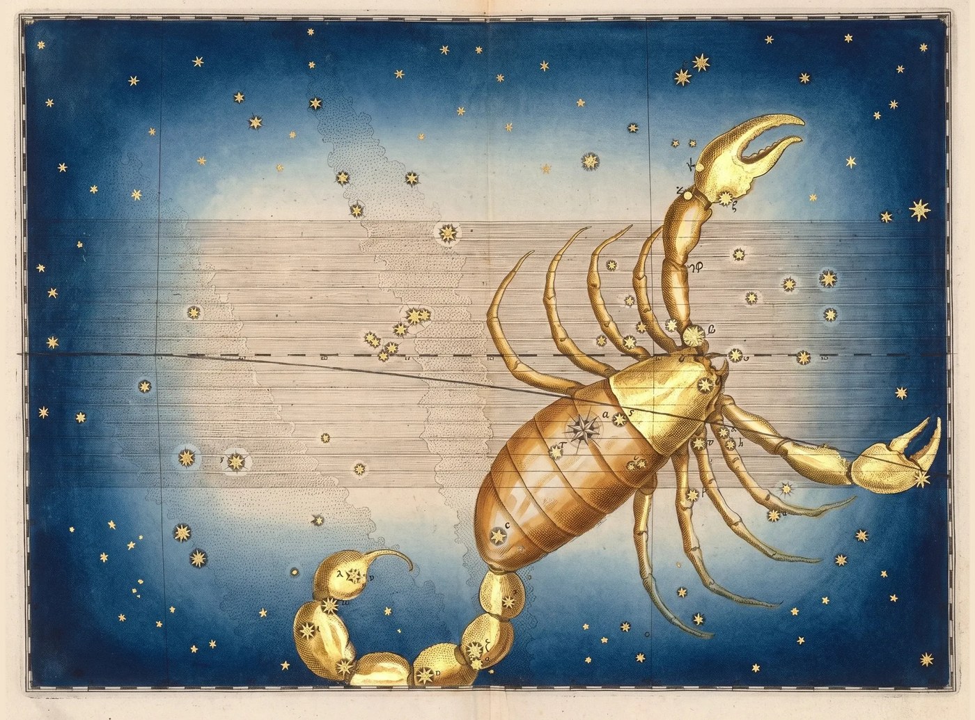 Scorpio, the Scorpion — Illuminated II — Celestial oil