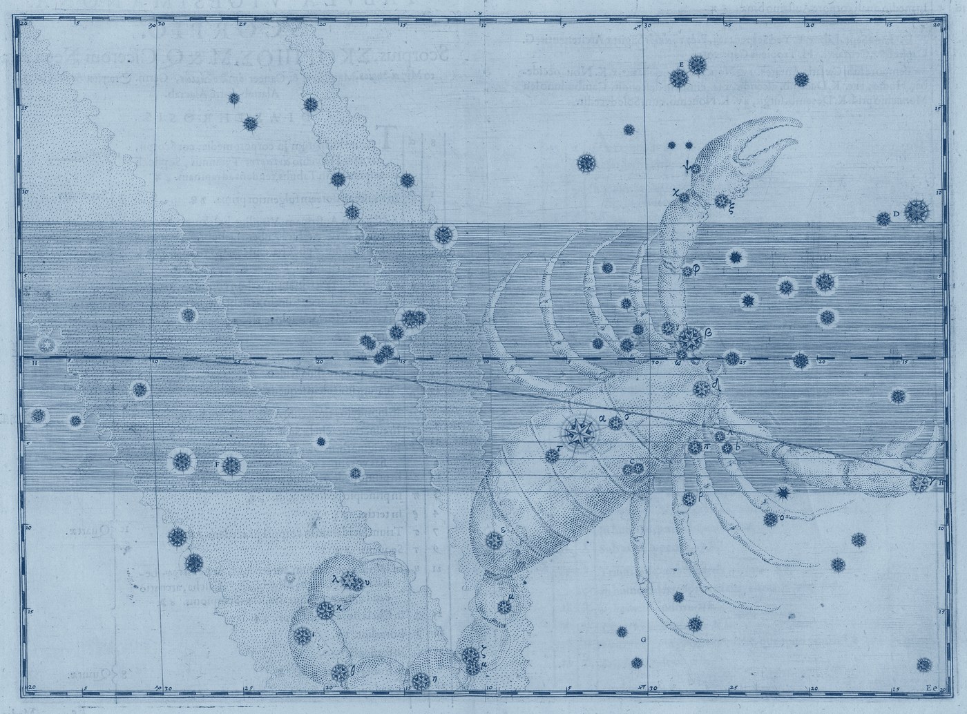Scorpio, the Scorpion — Prussian — Celestial oil