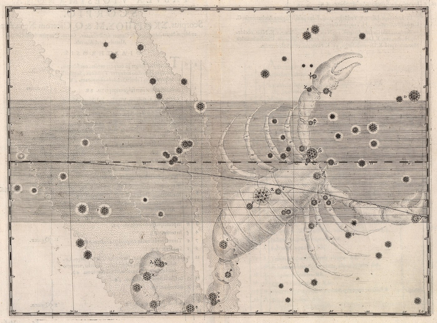 Scorpio, the Scorpion — Restored — Celestial oil