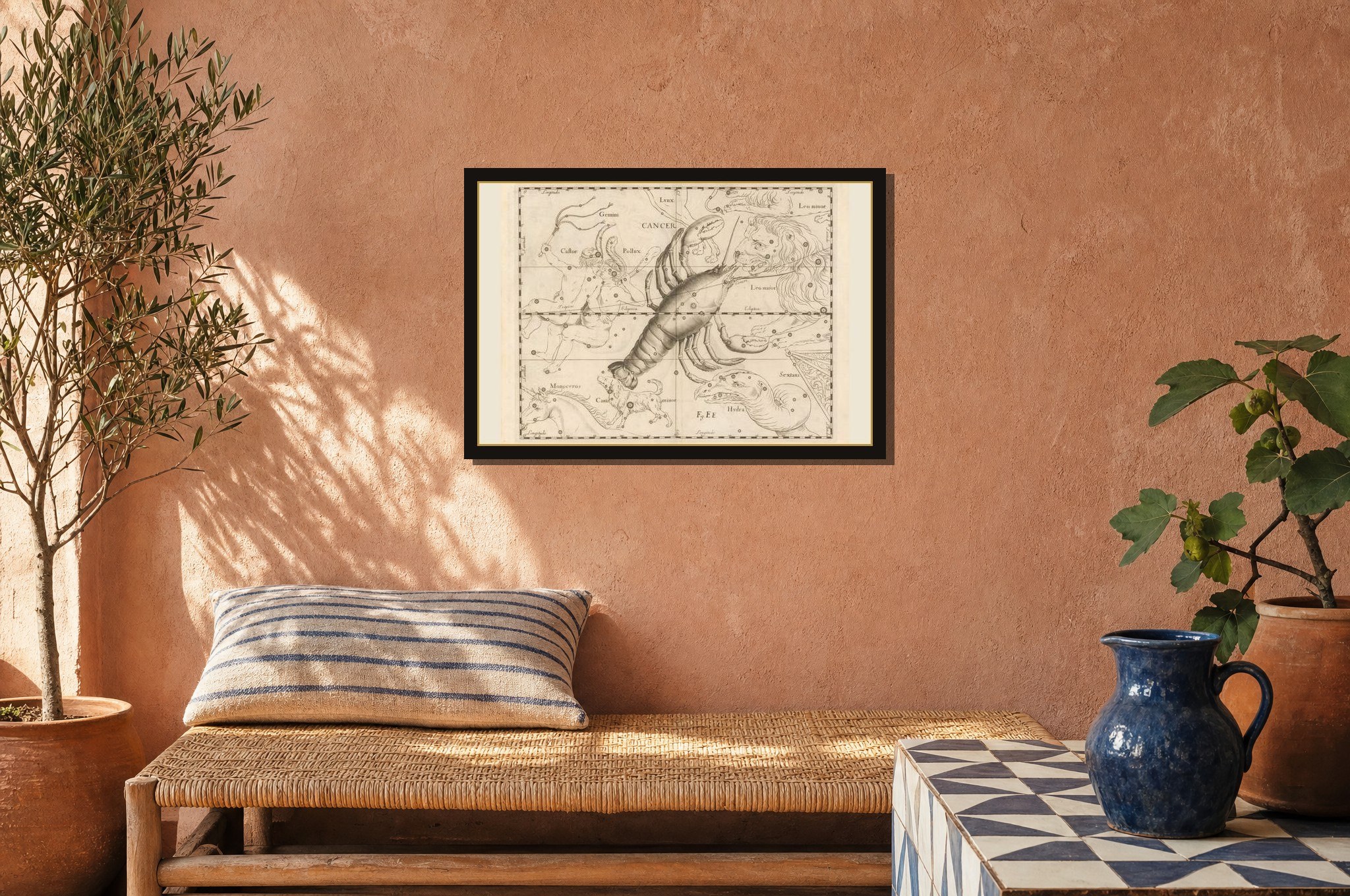 Cancer hanging framed in a room