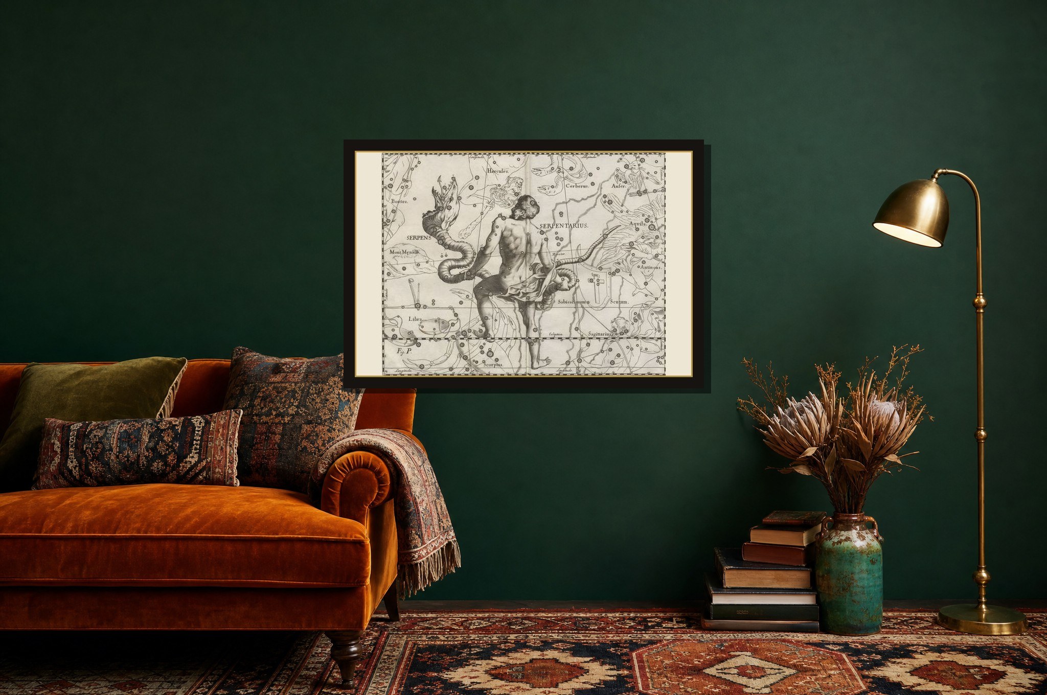 Serpens and Serpentarius hanging framed in a room